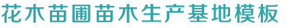 凯发旗舰厅客户端 